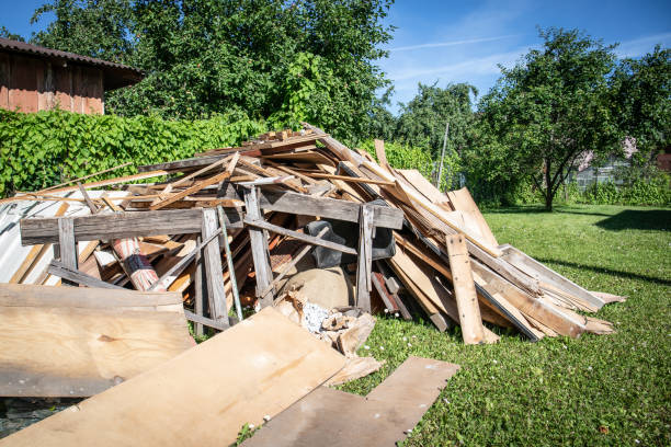Best Hoarding Cleanup  in Carrollton, KY