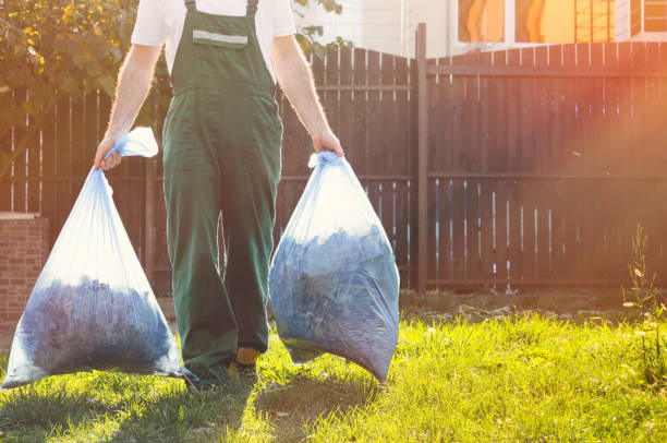 Best Recycling Services for Junk  in Carrollton, KY